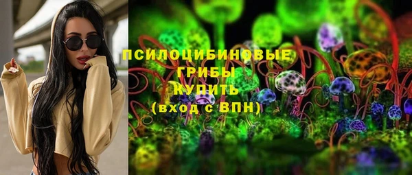 индика Баксан