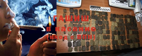 индика Балахна