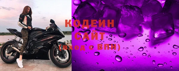 индика Балахна