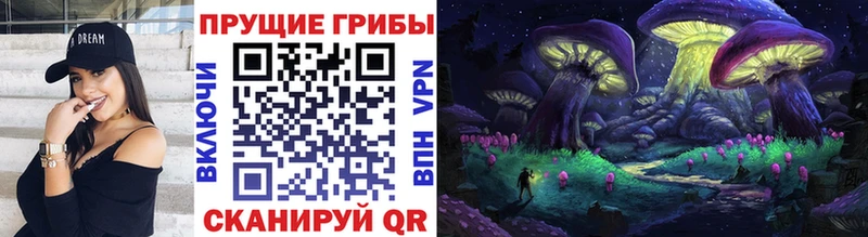 что такое наркотик  Красавино  Галлюциногенные грибы MAGIC MUSHROOMS 